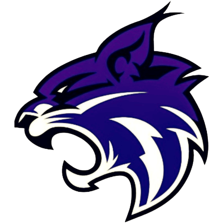 Wildcat-Logo-2